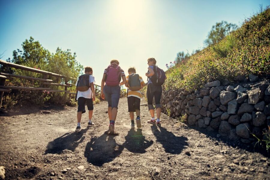 Naples: Pompeii & Mt. Vesuvius Day Trip with Tickets & Lunch - Guides, Group Size, and Why It Can Vary