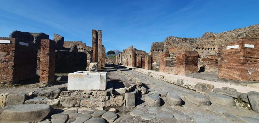 Naples: Pompeii & Mt. Vesuvius Day Trip with Tickets & Lunch - Should You Book This Pompeii and Vesuvius Day Trip?