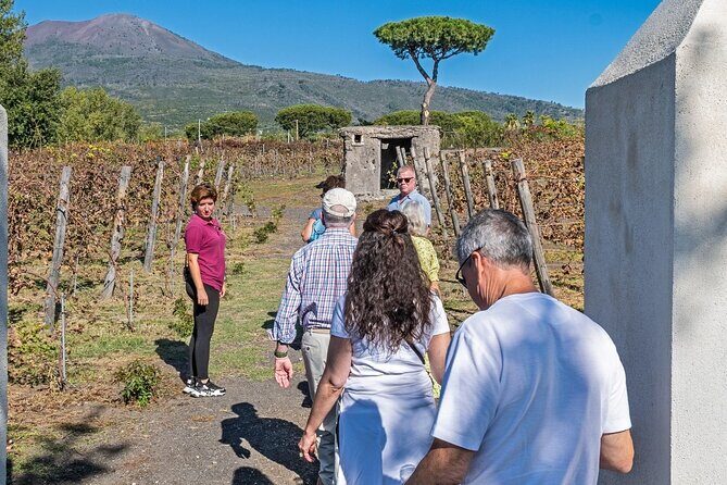 Naples: Tour of Mt Vesuvius and Pompeii w/ Lunch & Wine tasting - Drivers, Small Groups, and Timing That Keeps You Moving