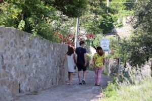 Olive oil tasting in Sorrento - Walking the Olive Groves: Learning Without the Overload