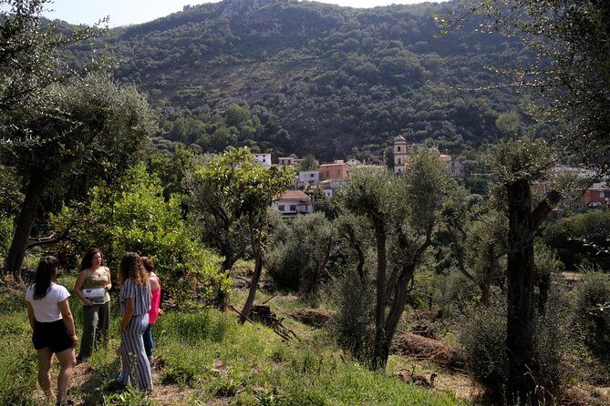 Olive oil tasting in Sorrento - Balsamic, Glazes, Marmalades, and Honey: How They Train Your Taste Buds