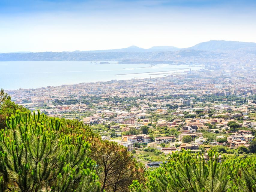 Pompei: Mount Vesuvius and Pompeii with Round-Trip Transfer - Back down to Pompei: switching gears from volcano to city streets
