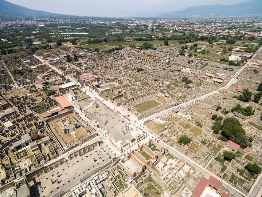 Pompei: Mount Vesuvius and Pompeii with Round-Trip Transfer - Price and value: what you’re paying for at $97.43