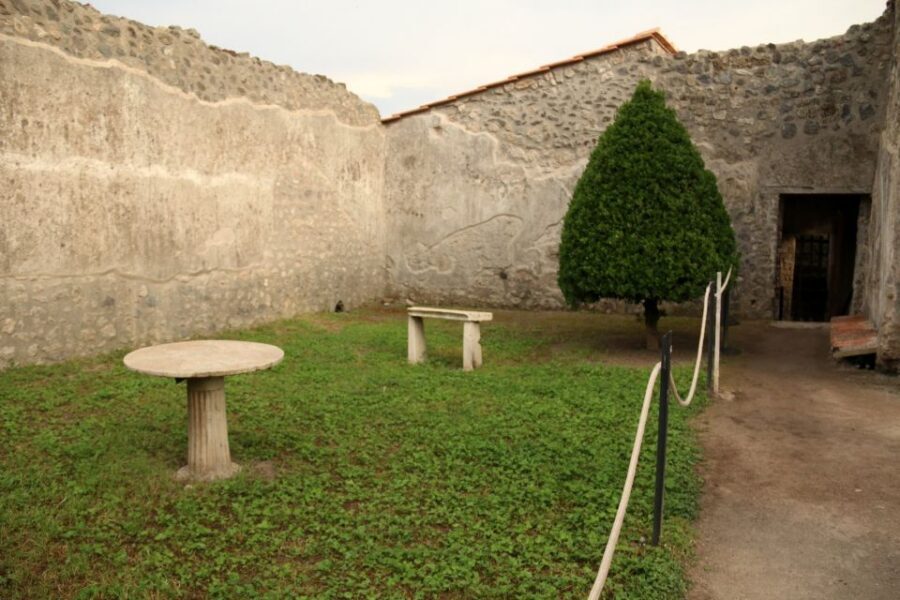 Pompeii 2-Hour Private Tour - The plaster casts: what to notice in the bodies of Pompeii