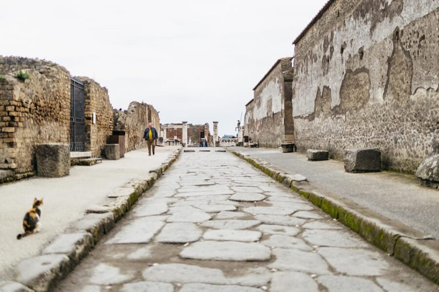 Pompeii: Afternoon to Sunset Guided Tour with Ticket - Time for Views and Extra Exploring After the Tour