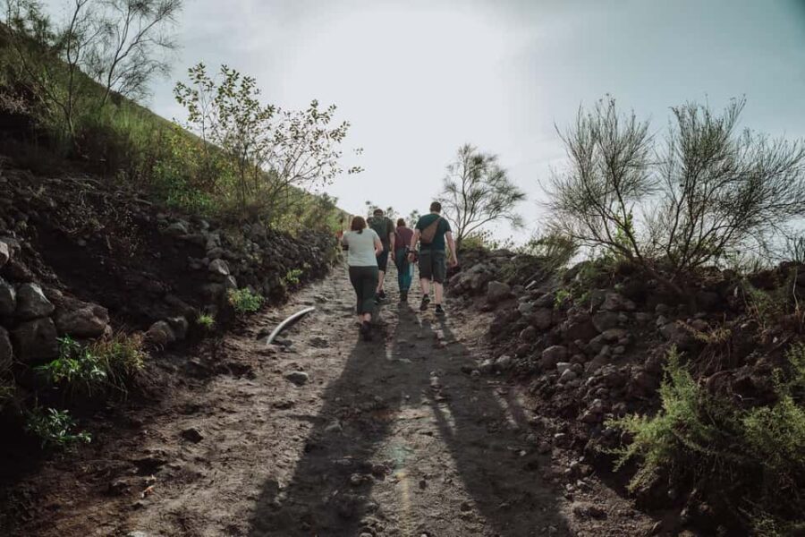 Pompeii and Mount Vesuvius excursion from Naples - Naples pickup: Starhotels Terminus makes the day start easier