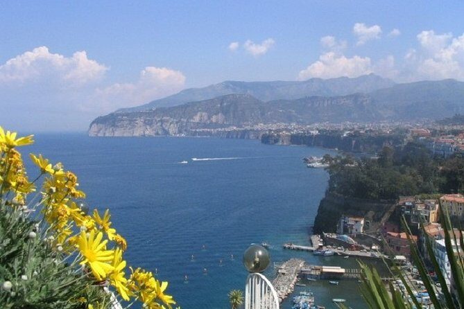 Pompeii and Sorrento Day Trip from Naples - Price and value: what $110.12 covers on this day