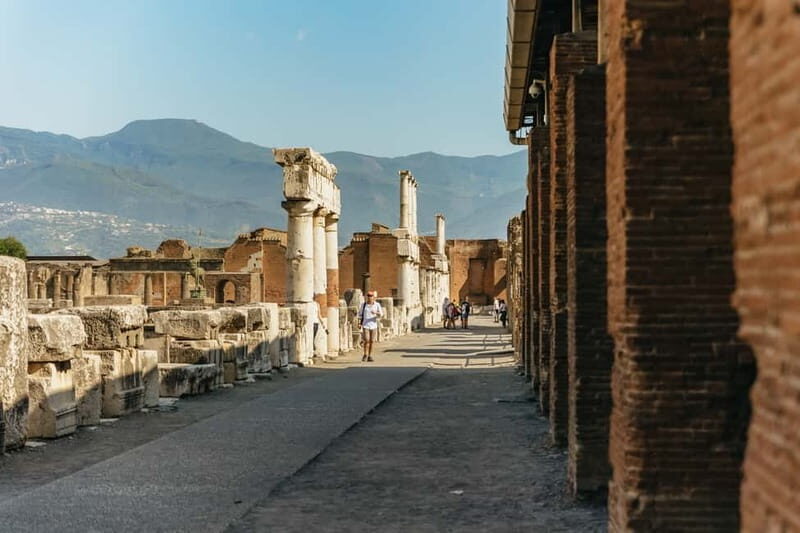 Pompeii: Archaeological Park Tour with Ticket on request - Who this Pompeii tour suits best