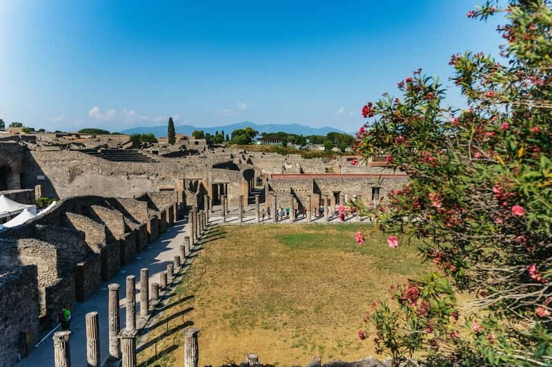Pompeii: Archaeological Park Tour with Ticket on request - The Vesuvius story you’ll hear as you walk