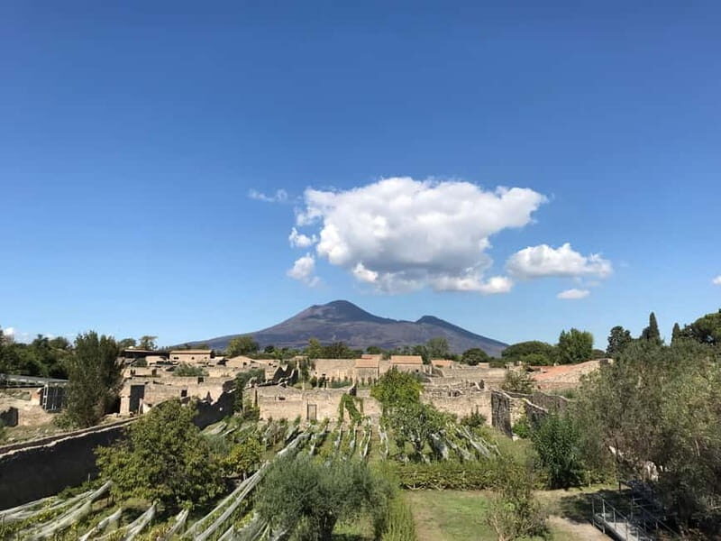 Pompeii: Archeological Tour & Wine Tasting at Mt. Vesuvius - Casa Setaro lunch and wine tasting: what’s on your plate