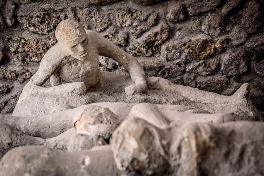 Pompeii: Archeological Tour & Wine Tasting at Mt. Vesuvius - Who this Pompeii + Vesuvius tour fits best
