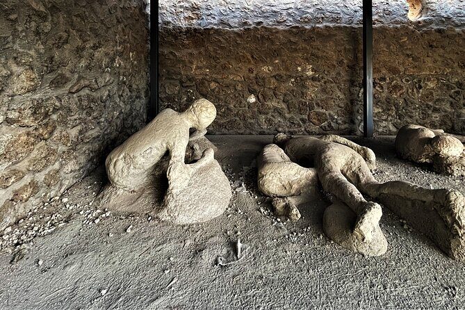 Pompeii Guided Tour from Naples with Skip-the-Line Entry - What the guide actually does for you