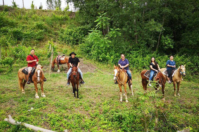 Pompeii Guided Tour & Horse Riding on Vesuvius with Lunch - The Horse Ride on the Vesuvius Slopes at About 500 Meters