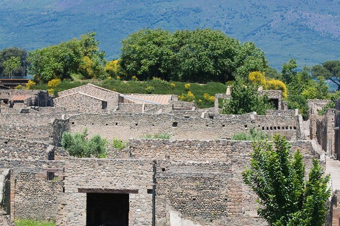 Pompeii Ruins Half-Day Tour from Sorrento with Guide - Value for money: what you’re paying for in this $97.82 package