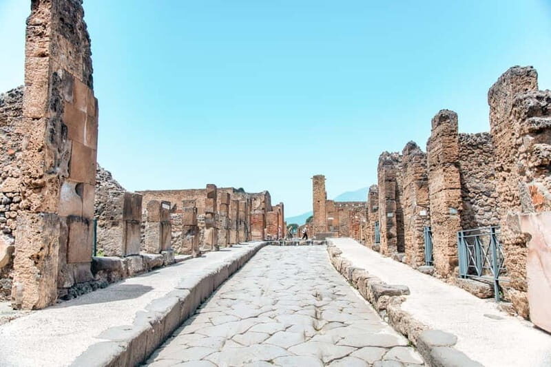 Pompeii Ruins Private Tour with Optional Skip-the-Line Entry - Porta Marina to the Public Core: How the Tour Builds Understanding Fast