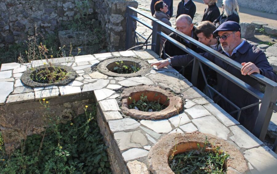 Pompeii: Skip-the-Line Tickets and Tour with Archaeologist - What’s included in the $105 ticket price (and where you’ll spend extra)
