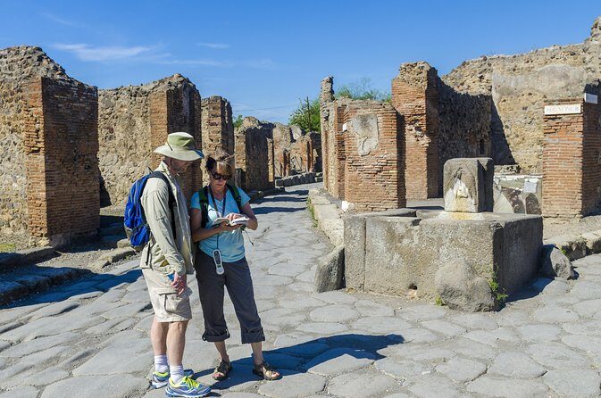 Pompeii Small Group Tour with an Archaeologist - House of the Faun and the Odeon: scale and sound