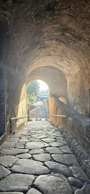Pompeii: Tour with Archaeologist Guide & Skip-the-Line Entry - What’s included (and what you’ll handle yourself)