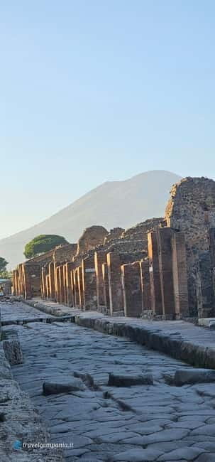Pompeii: Tour with Archaeologist Guide & Skip-the-Line Entry - Who should book this Pompeii Express tour