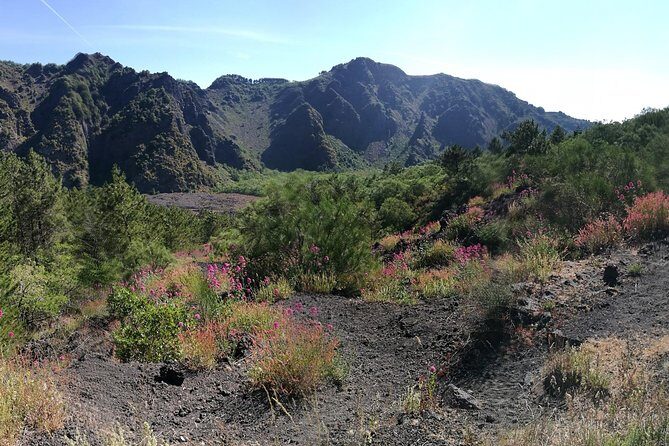 Private Day Tour to Vesuvius, Herculaneum & Pompeii with Pick Up - Herculaneum: Smaller Footprint, Better Preservation