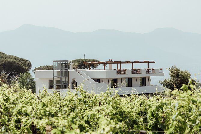 Scenic Wine Tasting & Lunch on the Slopes of Vesuvius from Naples - Getting There From Naples: Easy Pickup, Expect Road Time