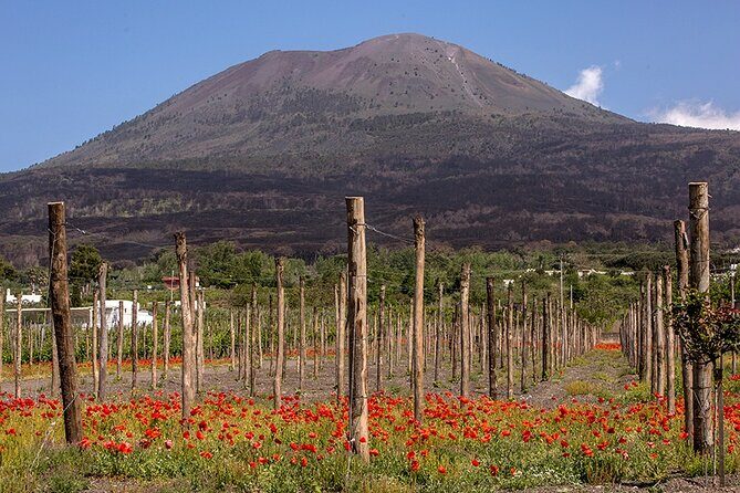 Scenic Wine Tasting & Lunch on the Slopes of Vesuvius from Naples - Wine Pairings in Real Life: What to Expect During Each Pour