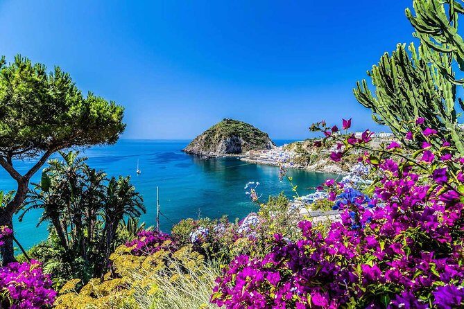 Small Group Ischia and Procida Boat Day Tour from Sorrento - Where you start in Sorrento (and why it matters)
