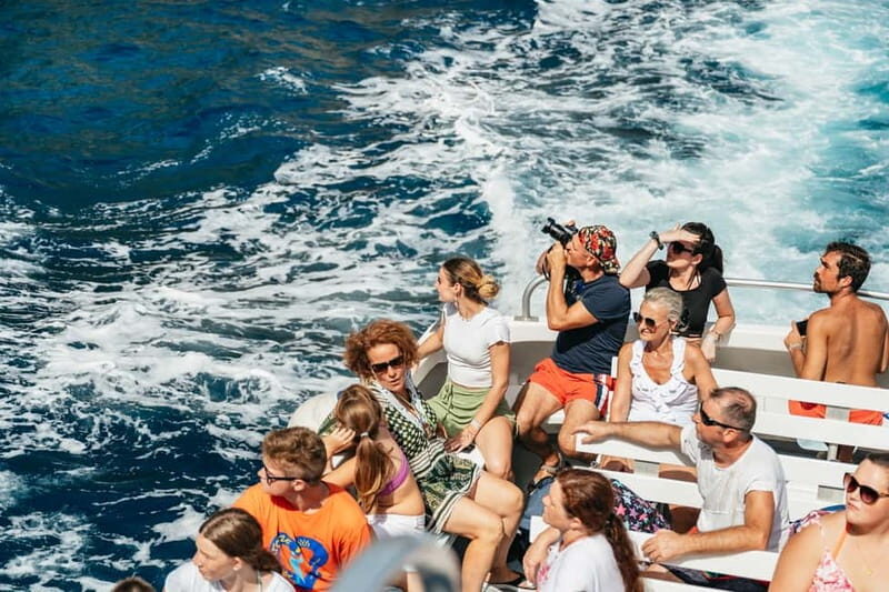 Sorrento: Coast and Capri Boat Trip with Limoncello Tasting - Limoncello Tasting: A Small Moment That Fits the Day