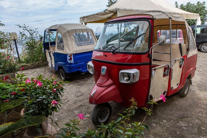 Sorrento Farm by Tuk Tuk: Cheese, Limoncello & Hands-On Pizza - Coffee, Homemade Dessert, and the Limoncello Finish