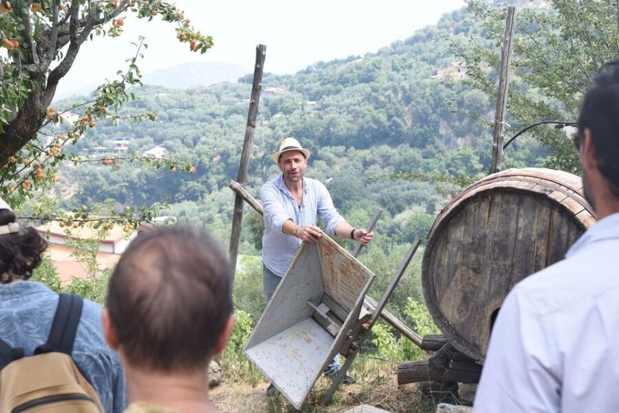 Sorrento: Farm Tour with Cheese Tasting & Pizza Making Class - Key highlights you should not miss