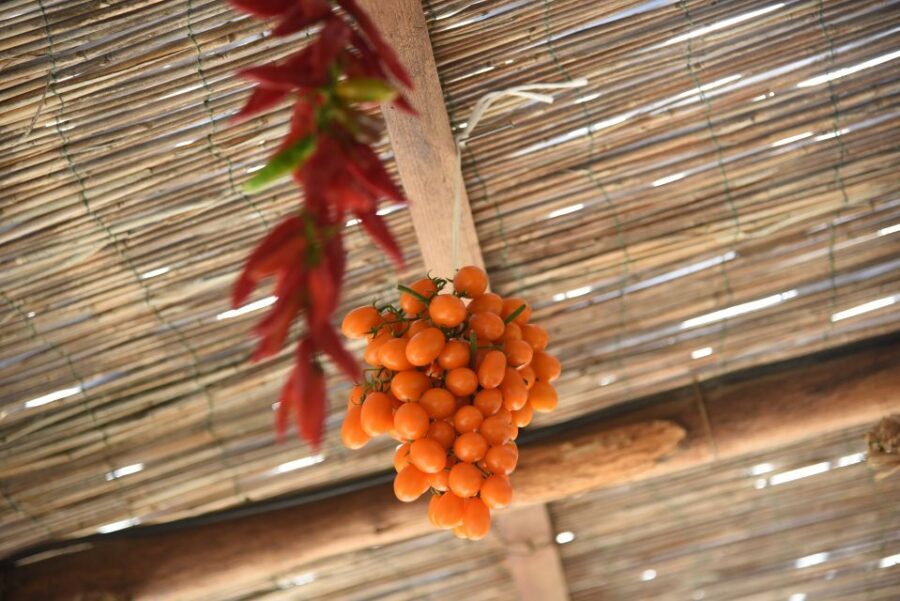 Sorrento: Pizza Lesson, Wine, and Limoncello at a Local Farm - Should you book Primaluce’s Pizza Lesson in Sorrento?