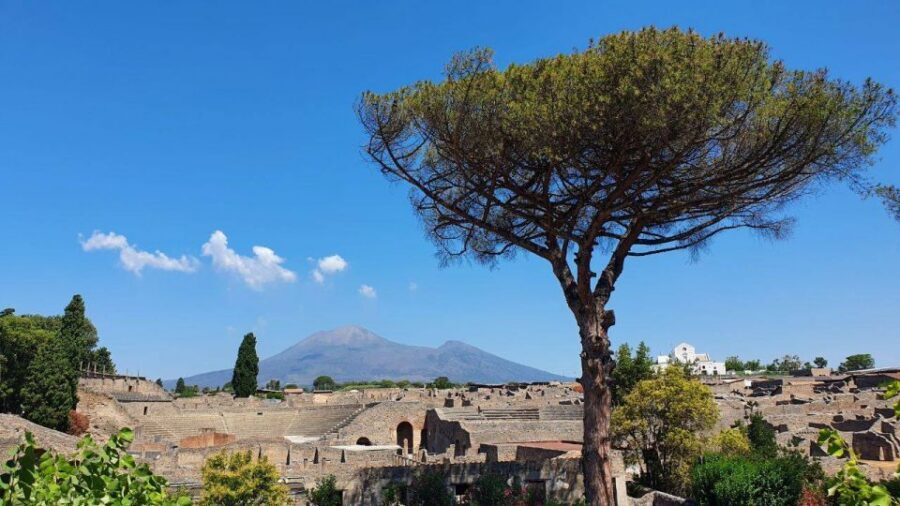 Sorrento: Skip-the-Line Pompeii Express Tour by Train - Getting Back to Sorrento: Straightforward, But Stay Alert