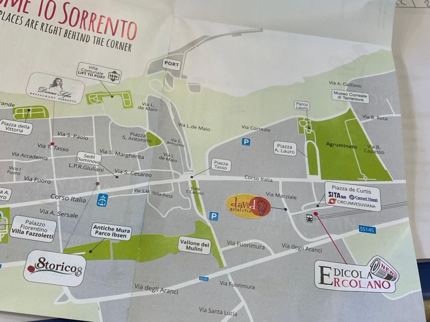 Sorrento: Skip-the-Line Pompeii Express Tour by Train - The Train Ride to Pompeii Scavi: Views and the One Stop You Must Watch