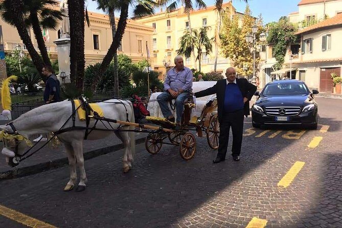 Splendida giornata con noi in costiera Amalfitana e dintorni - Pickup, private group size, and the real value of not juggling vehicles