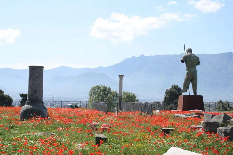 TRAMVIA -Da Naples: Pompei Ruins and Vesuvio Transfer by Bus - The long bus stretches: why timing matters (and how to use it)