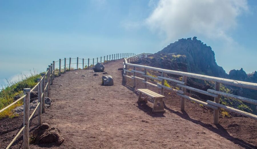 Vesuvius National Park Skip-The-Line Ticket and Audio Guide - Skip-the-Line at Vesuvius: When It’s Worth It