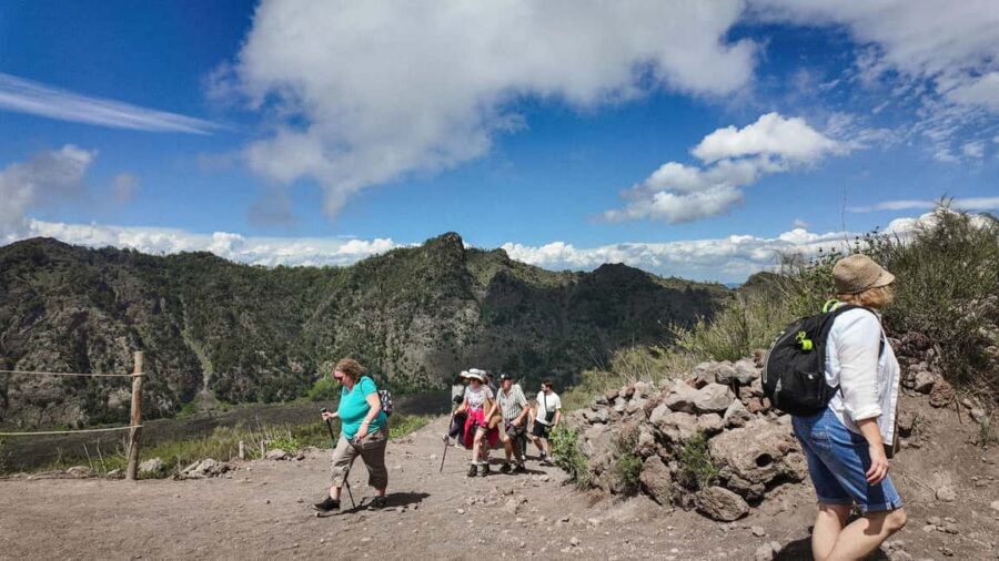 Vesuvius Volcano Experience: from Naples, Pompeii and Rome - Who this Vesuvius trip is best for