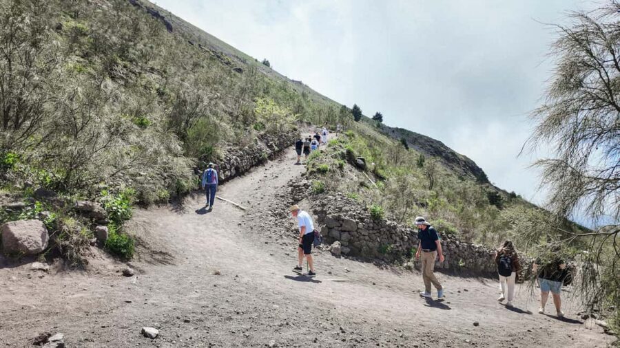 Vesuvius Volcano Experience: from Naples, Pompeii and Rome - Stop-by-stop: what you’ll do during the day